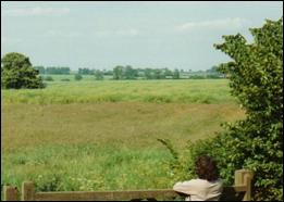 Allotments 1 - The old Guislborough Road allotment site before the building of Morrison Park Road.