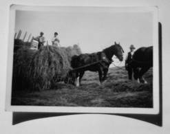West Haddon Grange 1 - Carting hay at West Haddon Grange Farm, 1930s?